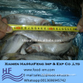 Import export horse mackerel fish fresh in good price